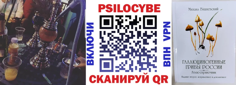 Псилоцибиновые грибы Psilocybe  Кировград 